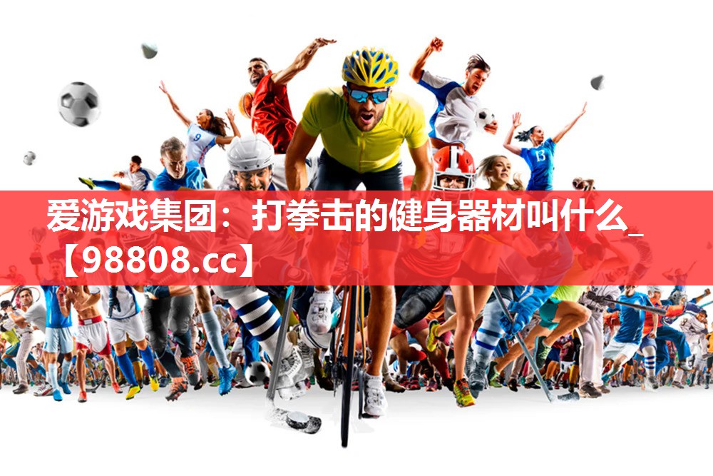 爱游戏集团：打拳击的健身器材叫什么_