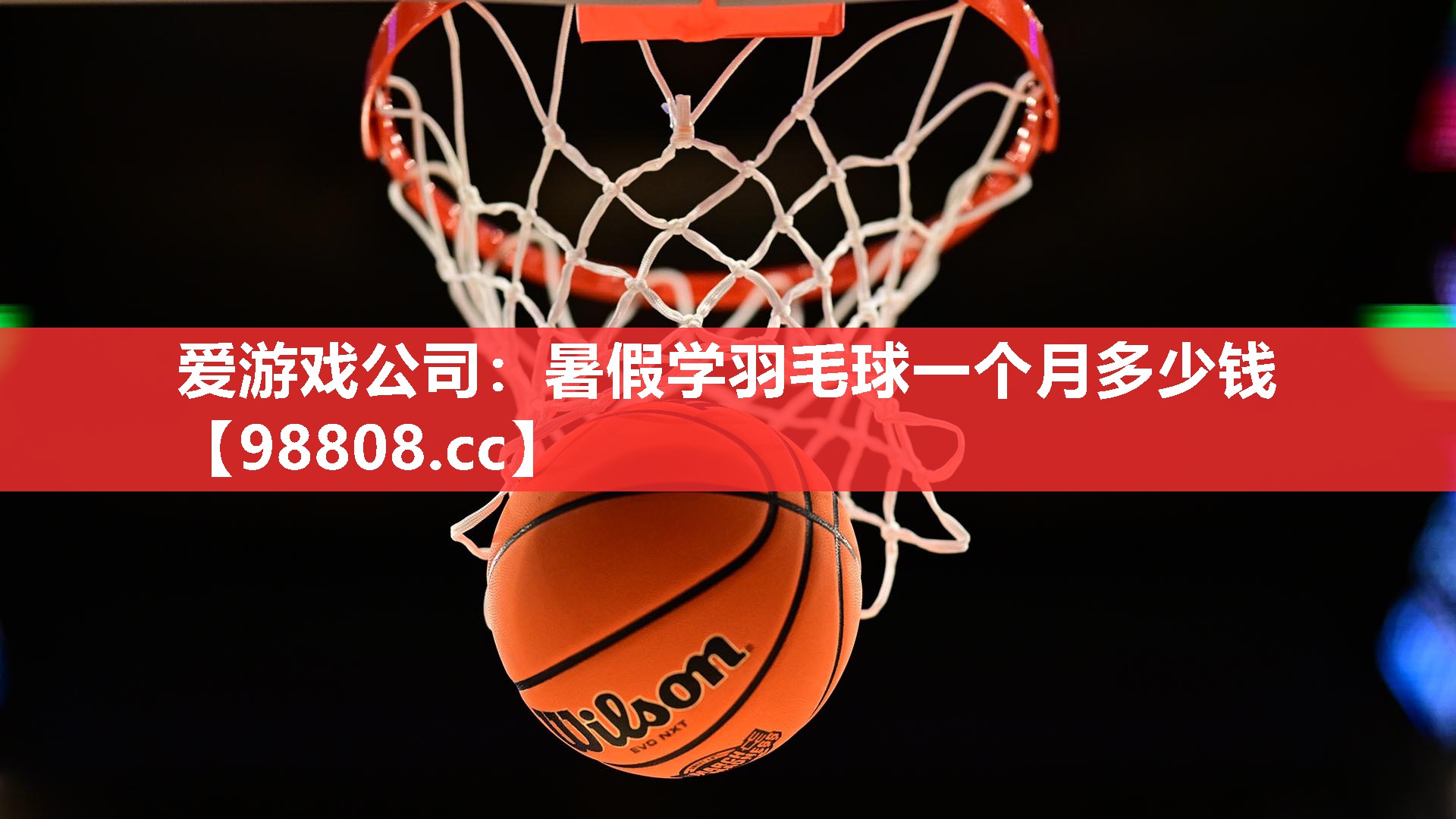 爱游戏公司：暑假学羽毛球一个月多少钱