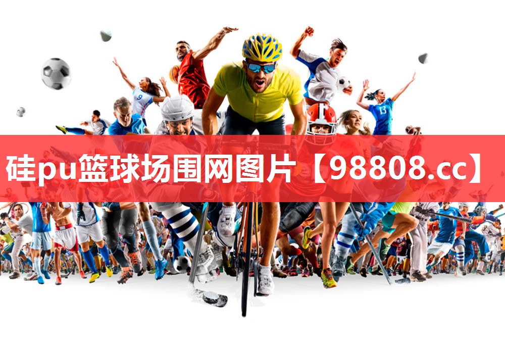 硅pu篮球场围网图片 硅pu篮球场围网图片