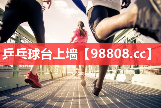 乒乓球台上墙 乒乓球台上墙