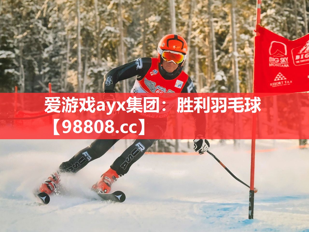 胜利羽毛球 胜利羽毛球