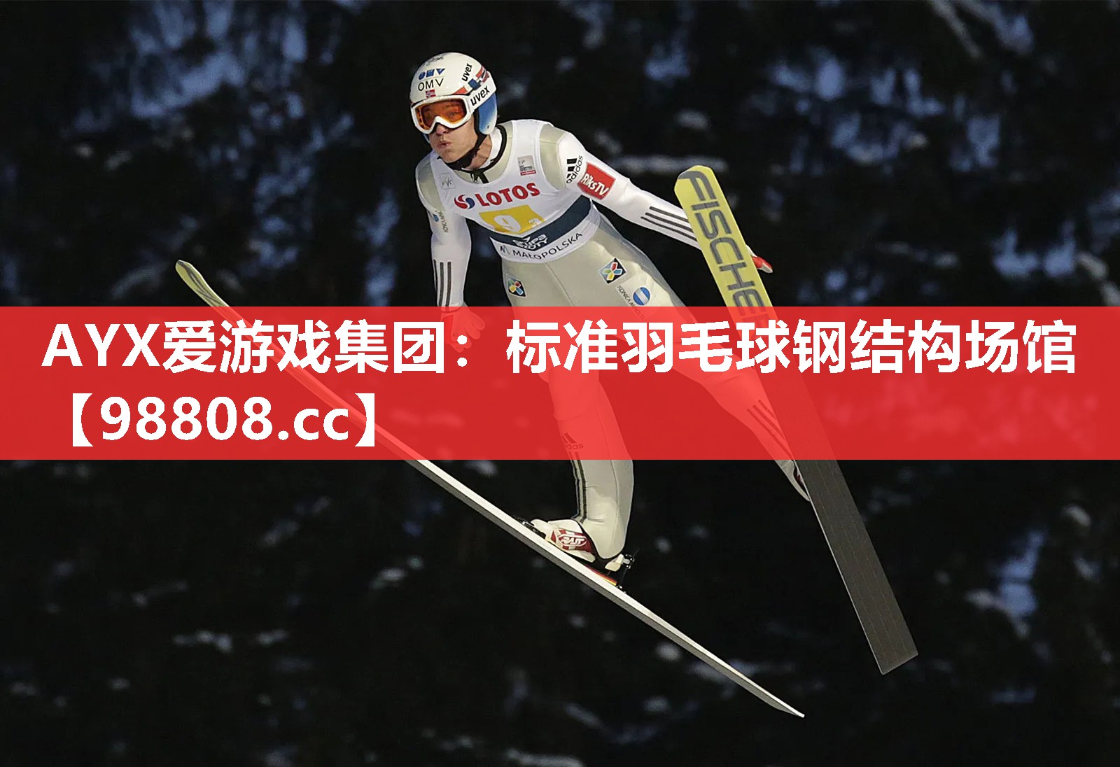 标准羽毛球钢结构场馆 标准羽毛球钢结构场馆