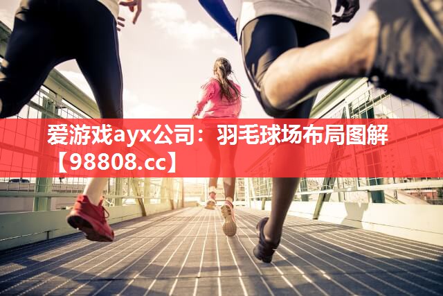 羽毛球场布局图解 羽毛球场布局图解